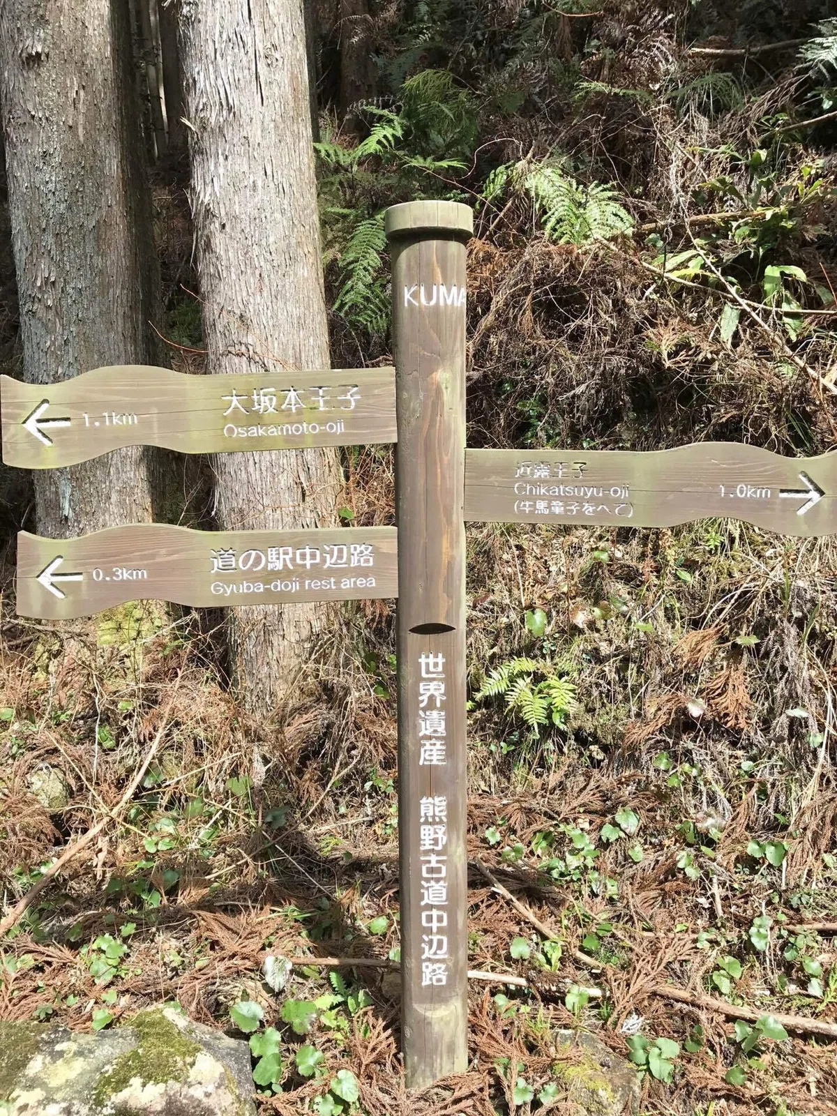 画像8