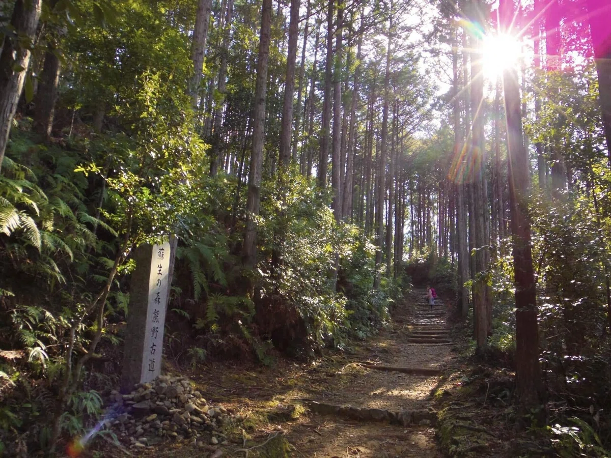 画像13