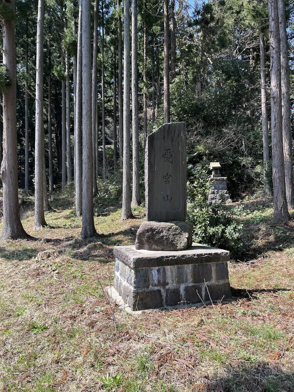 画像10