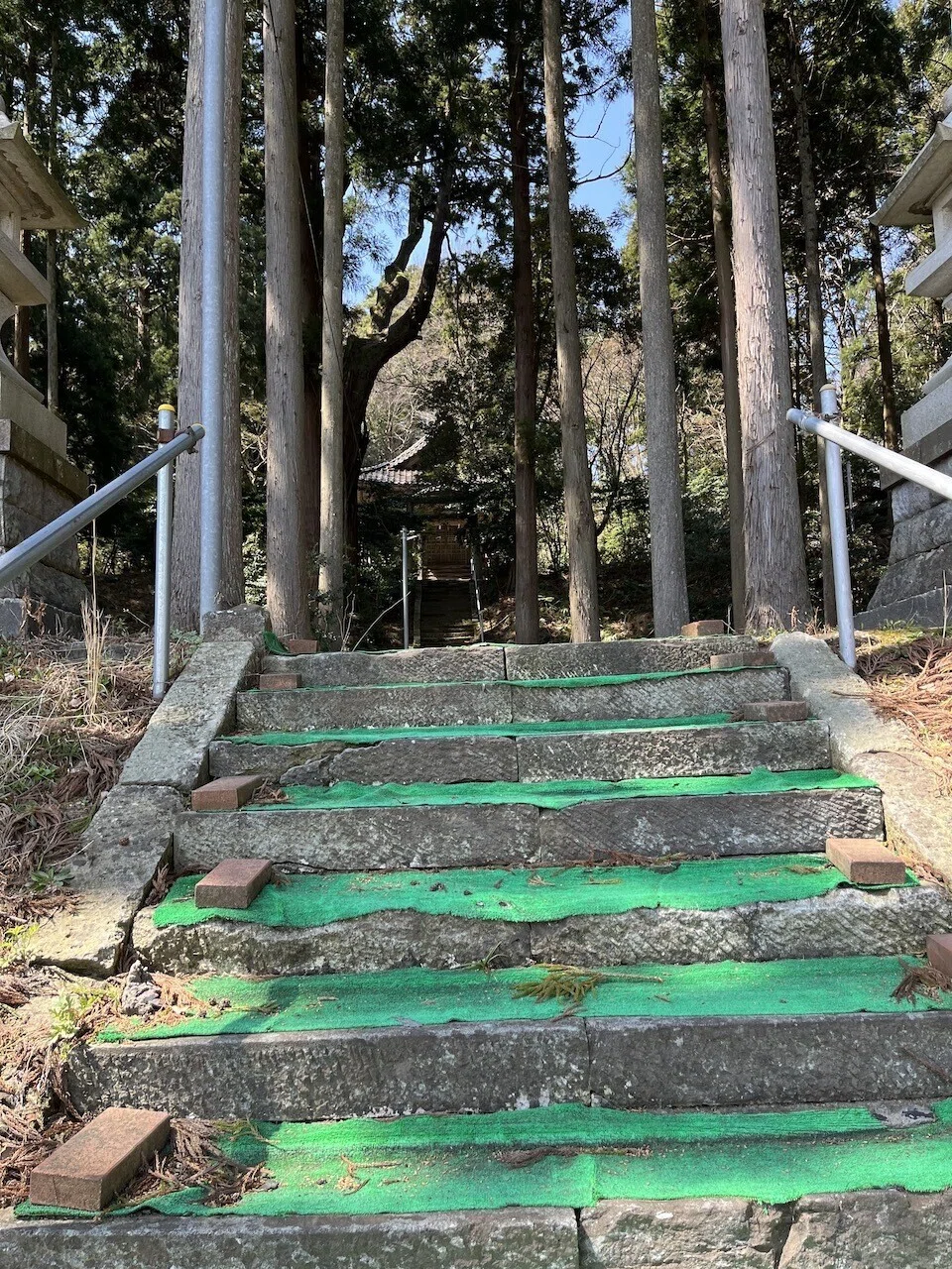 画像11