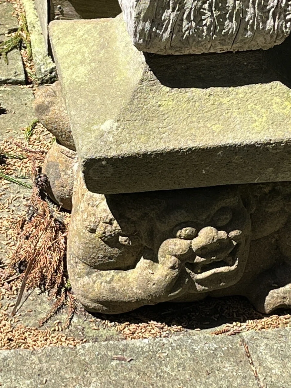 画像16