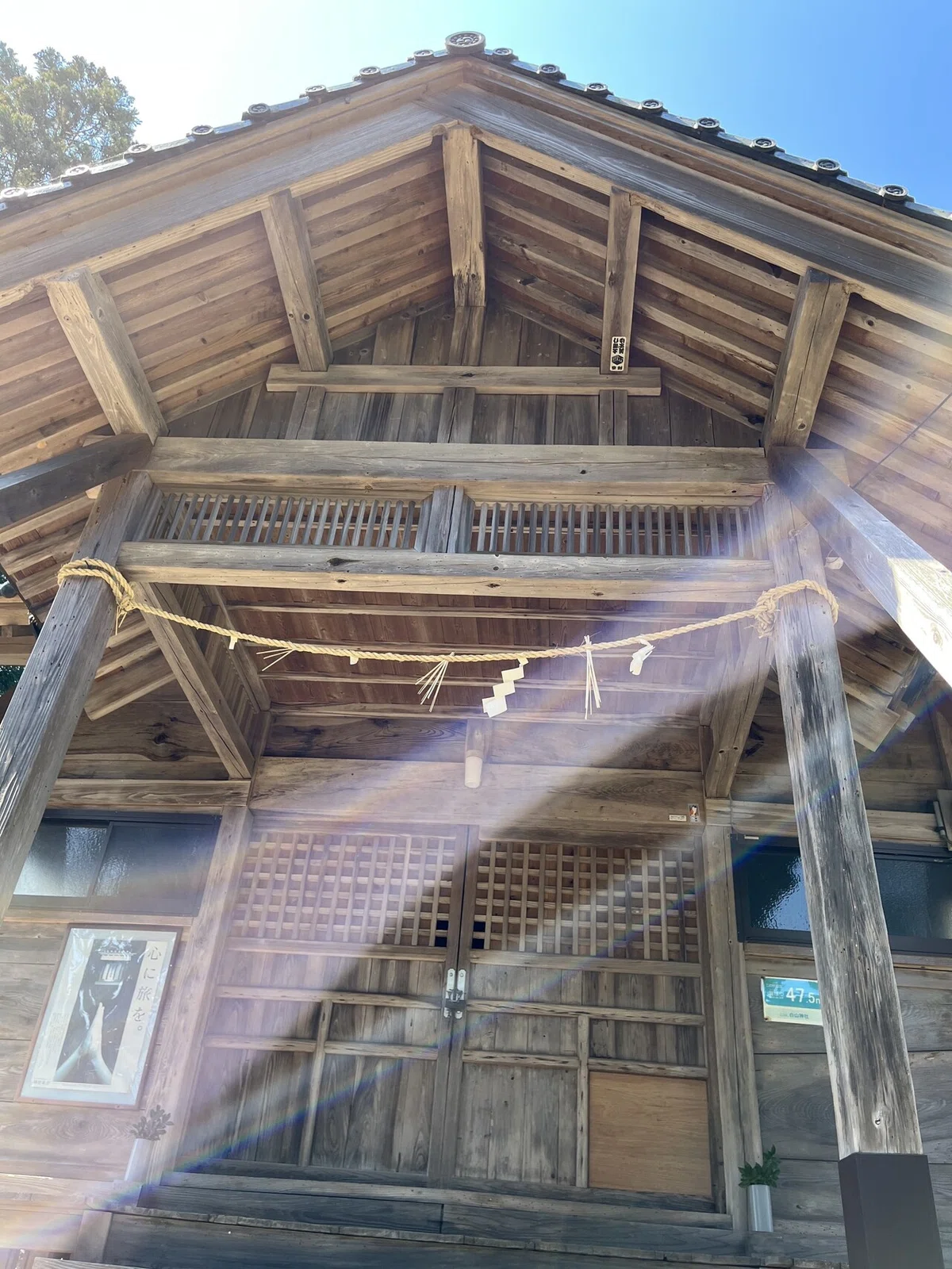 画像19