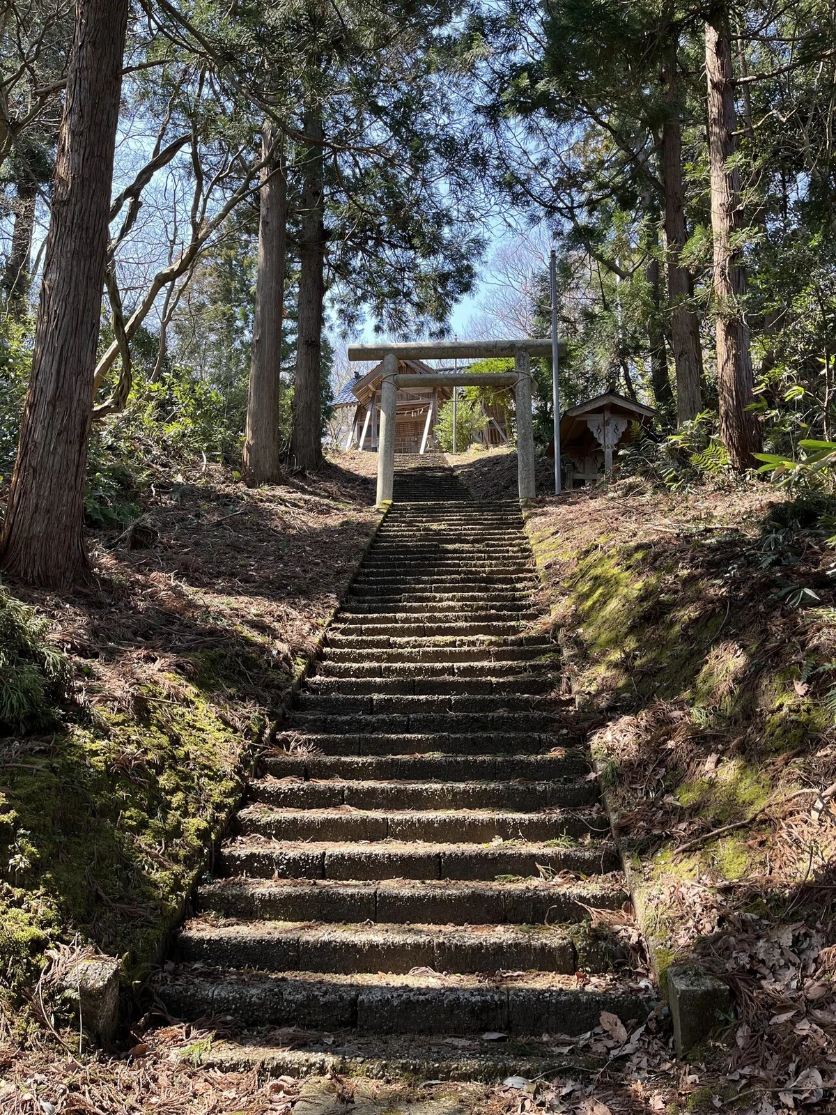 画像20