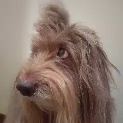 なみまのくじら