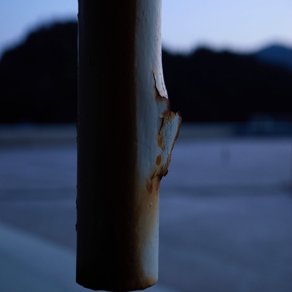 追悼、巨匠パトリック・デマルシェリエ。ありがとう。氏に学んだ撮影