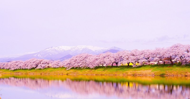 桜　「詩」