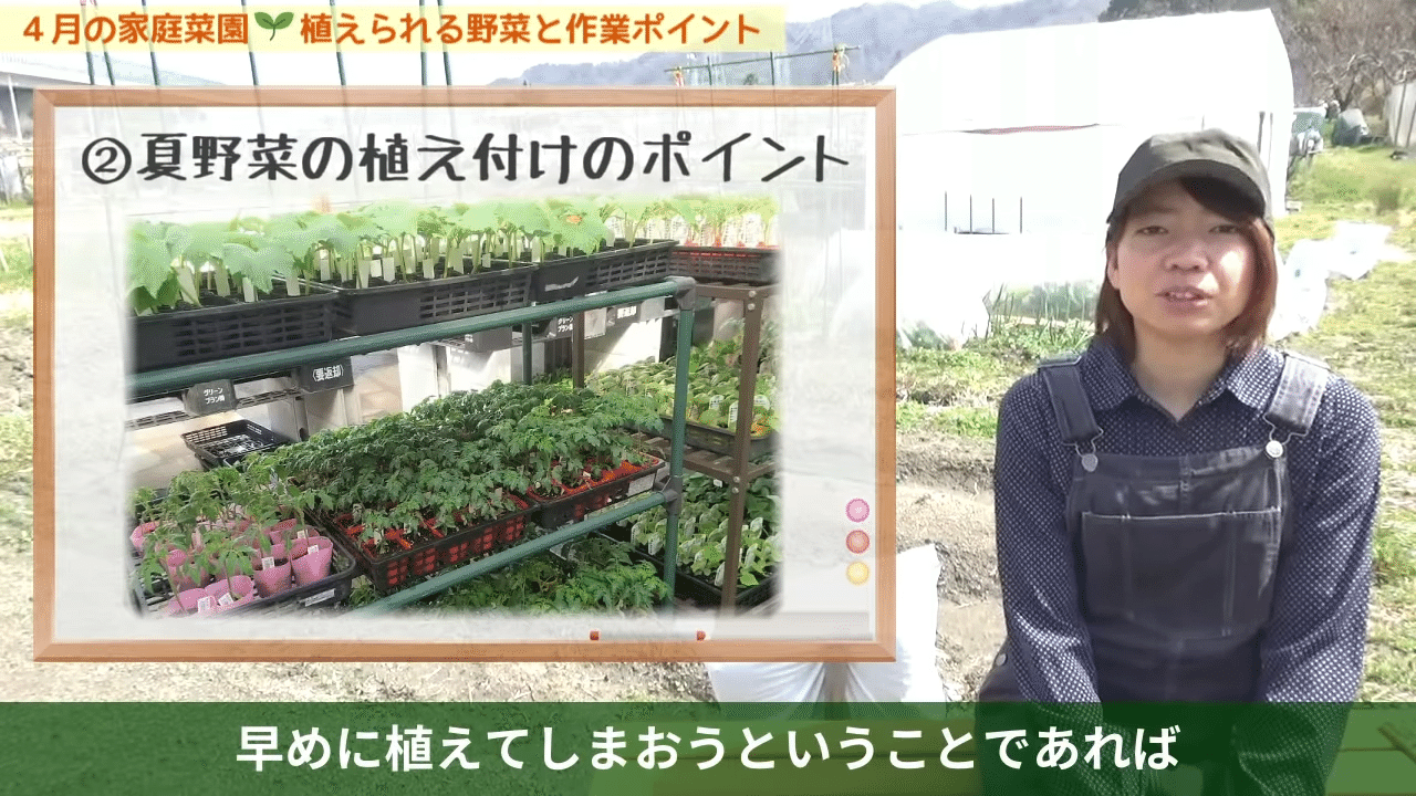 家庭菜園 4月に植えられる野菜と夏野菜の準備についてご紹介 井上寅雄農園 井上隆太朗 Note