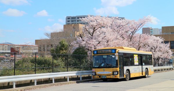 山陽バスと四季の旅 - 2022-04｜垂水の止利｜note