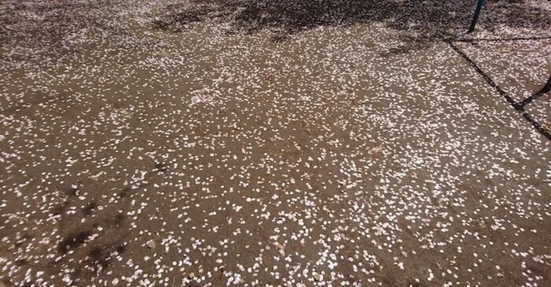 賢者の言葉９ しづ心なく花の散るらむ 夏川賀央 Note