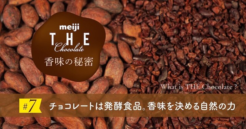 チョコレートは発酵食品。香味を決める自然の力──meiji THE Chocolateの香味の秘密 #7