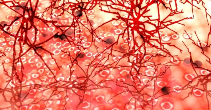 血と血管のイメージ