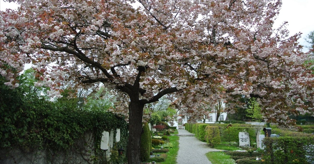 rectangle_large_type_2_3545840