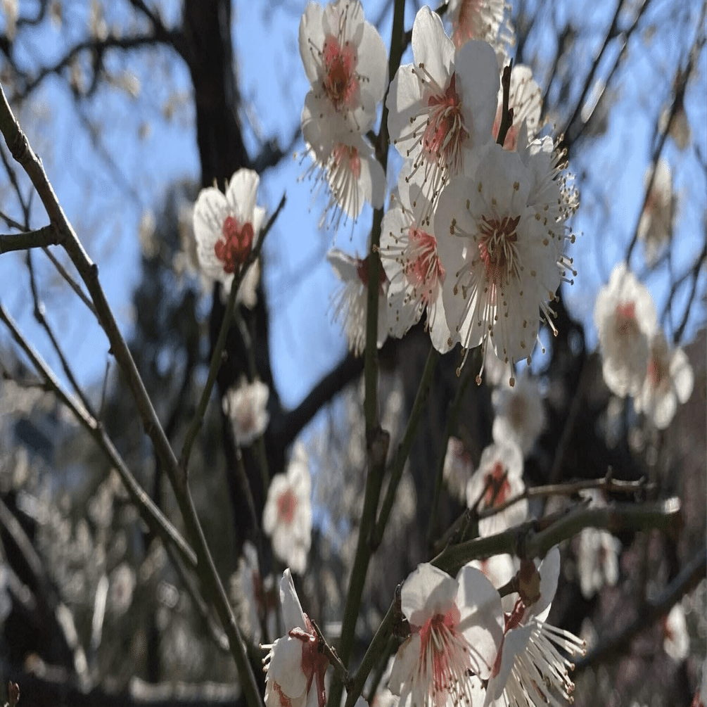 Q 進学か 浪人か迷ってます A 大学編入制度や大学院進学も選択肢に入れてみては 山田 デザイナー エンジニア 大学教員はじめました Note