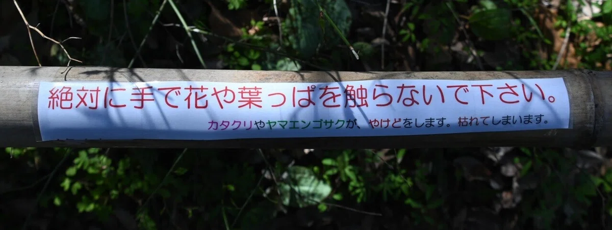 注意