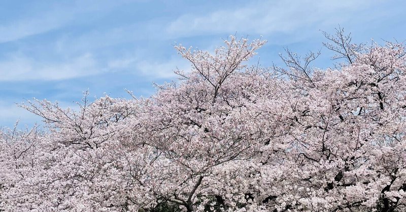 短歌〜最近のやつ〜