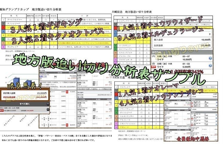 地方版追い切り分析表