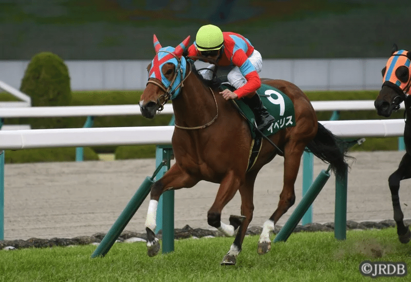22アーリントンカップ 過去5年傾向 外厩 指数 パドック Jrdb 競馬アラカルト Note