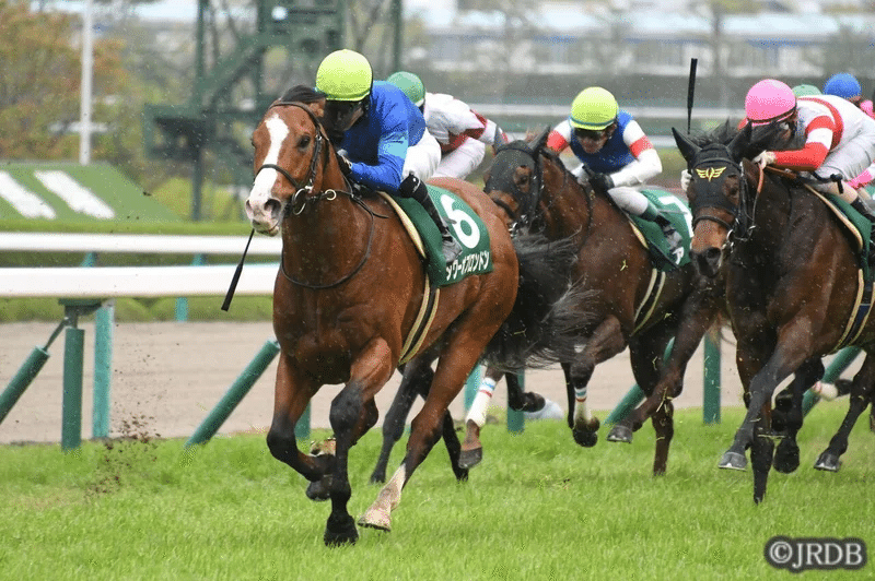 22アーリントンカップ 過去5年傾向 外厩 指数 パドック Jrdb 競馬アラカルト Note