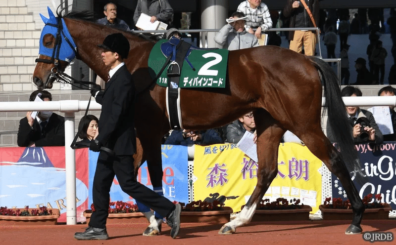 22アーリントンカップ 過去5年傾向 外厩 指数 パドック Jrdb 競馬アラカルト Note