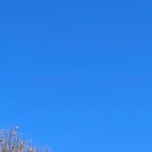 青空と陽だまりRestart