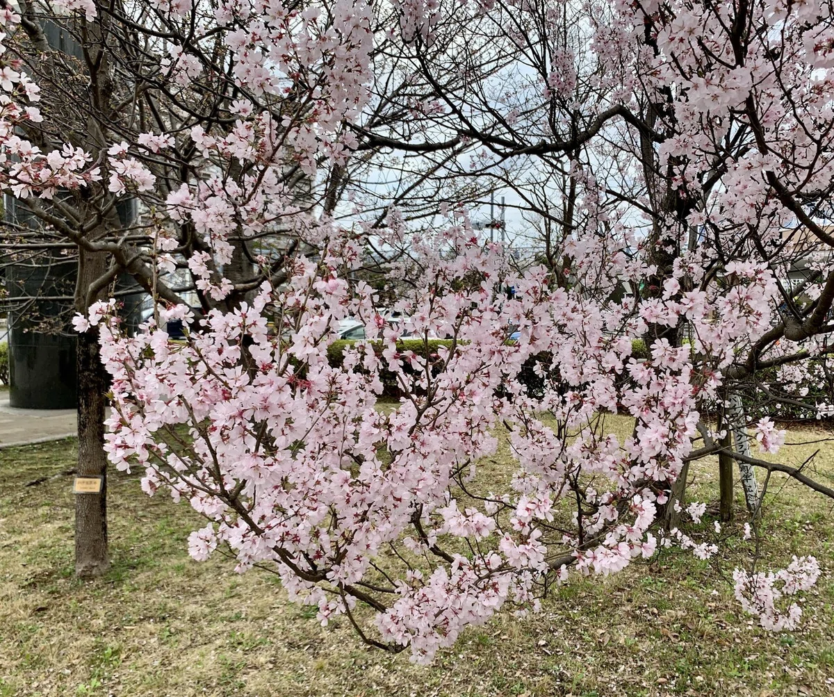 画像2