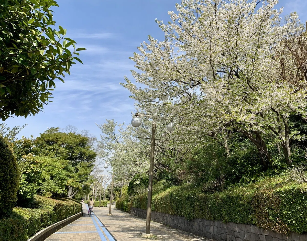 画像5