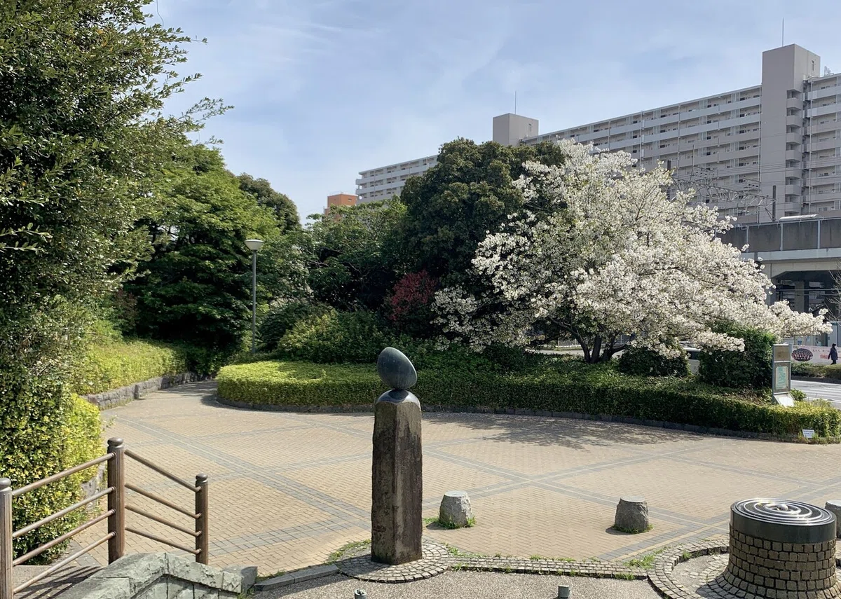 画像7