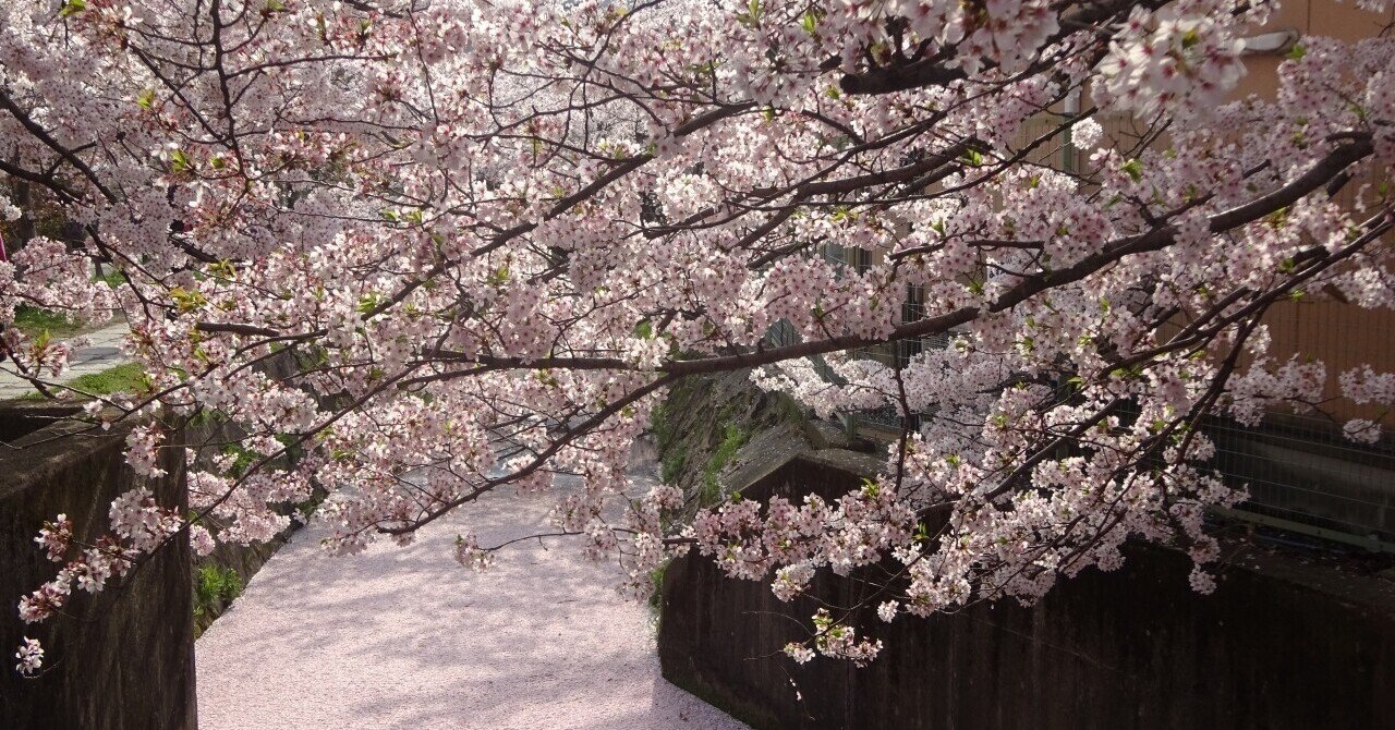 花筏今あの人の霊の逝く Aloha Note