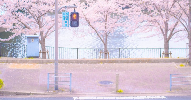 大阪・京都で撮った桜の写真集【フォト旅#27】