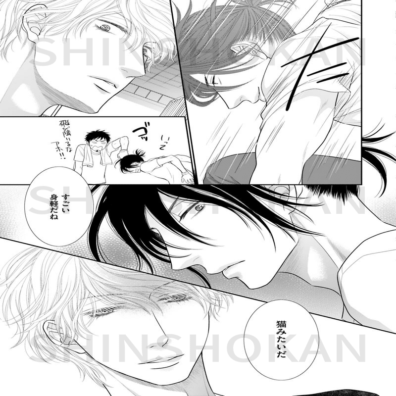 左京亜也「ねこのほん」発売！ 大人気「クロネコ彼氏」シリーズを中心