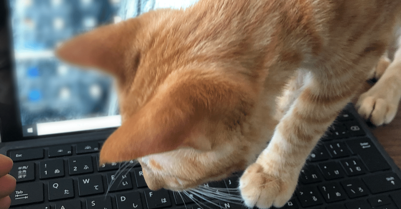 エゴサーチなんてしなくてええけど やるならひとつだけ条件を守ってやれば ええんじゃない 望月もちぎ Note エゴサーチなんてしなくてええけど やるならひとつだけ条件を守ってやれば ええんじゃない 望月もちぎ Note