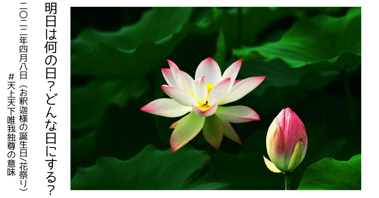 天上天下唯我独尊の意味 4月8日 お釈迦様の誕生日 花祭り Mariko マレーシアで暮らす猫と私 Note