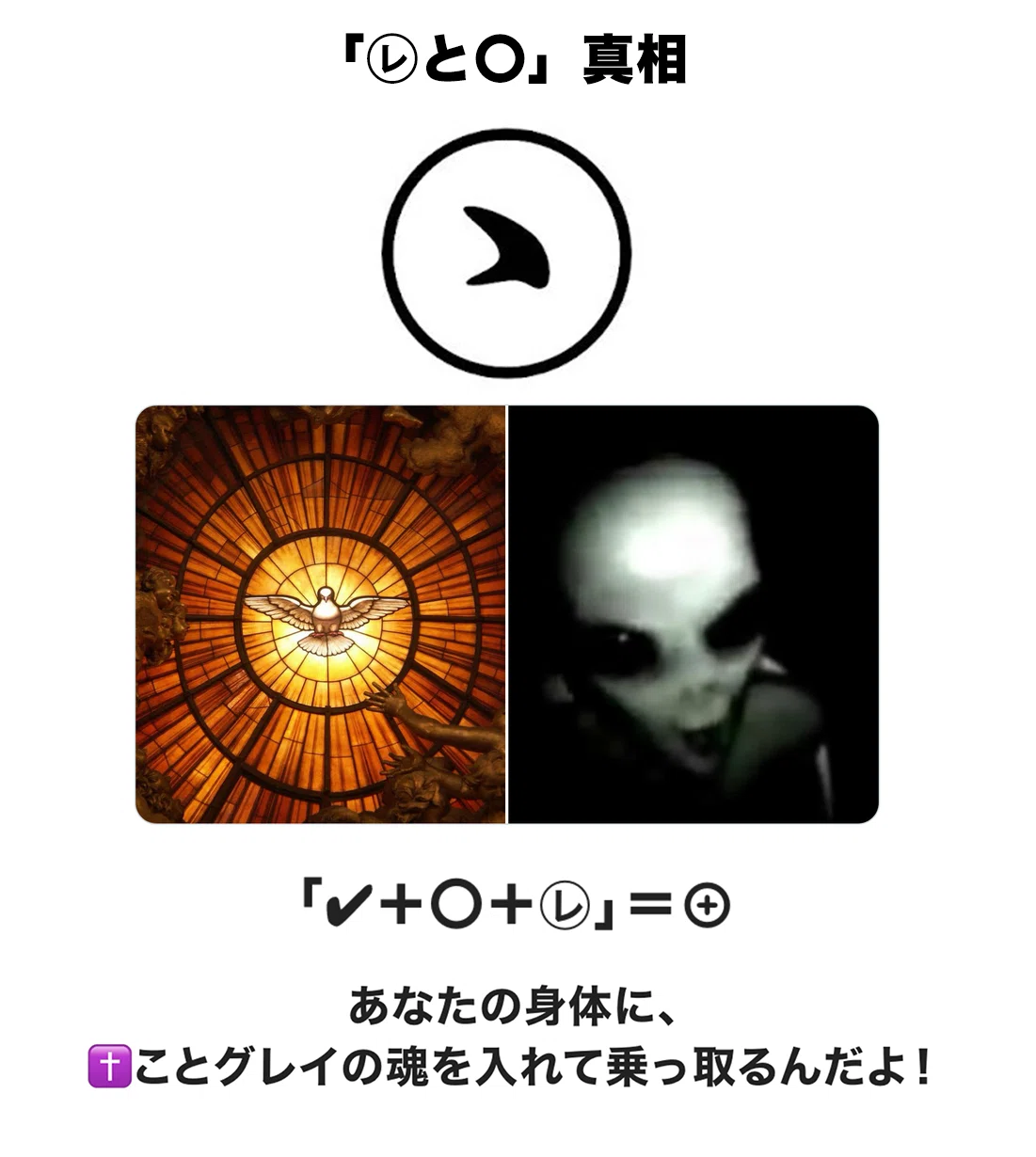 画像15