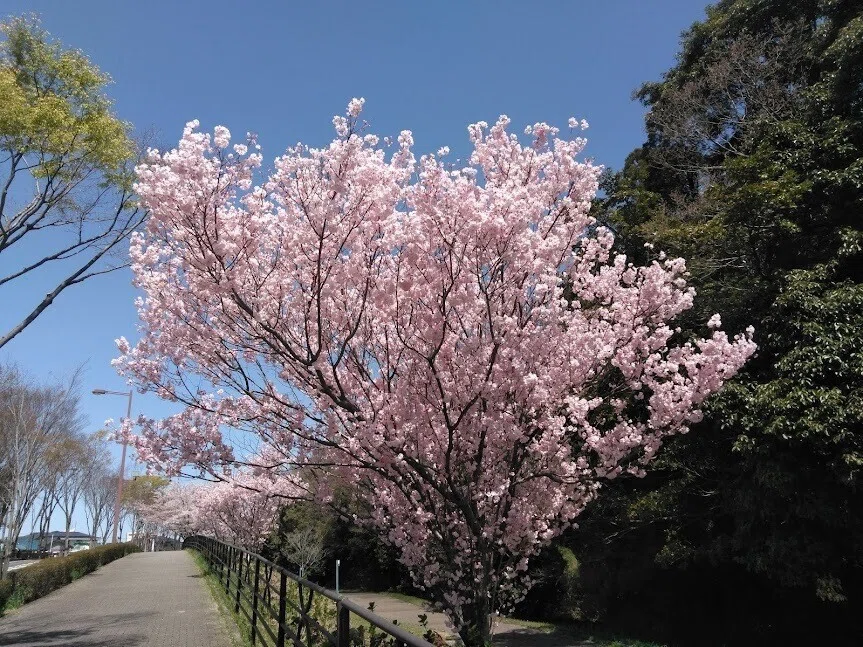 画像7