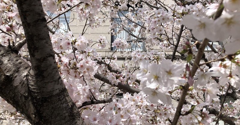 ミュージカル刀剣乱舞 の新着タグ記事一覧 Note つくる つながる とどける ミュージカル刀剣乱舞 の新着タグ記事一覧 Note つくる つながる とどける