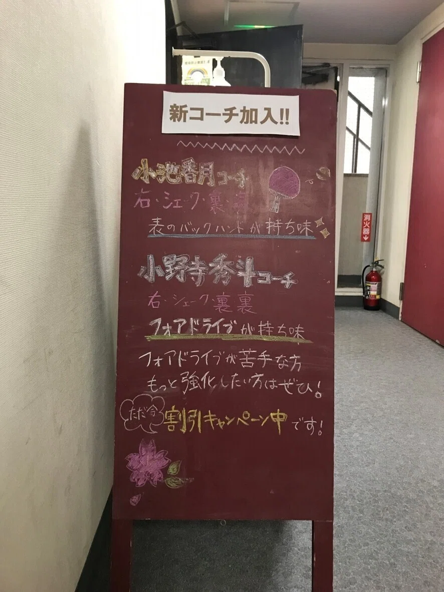卓球