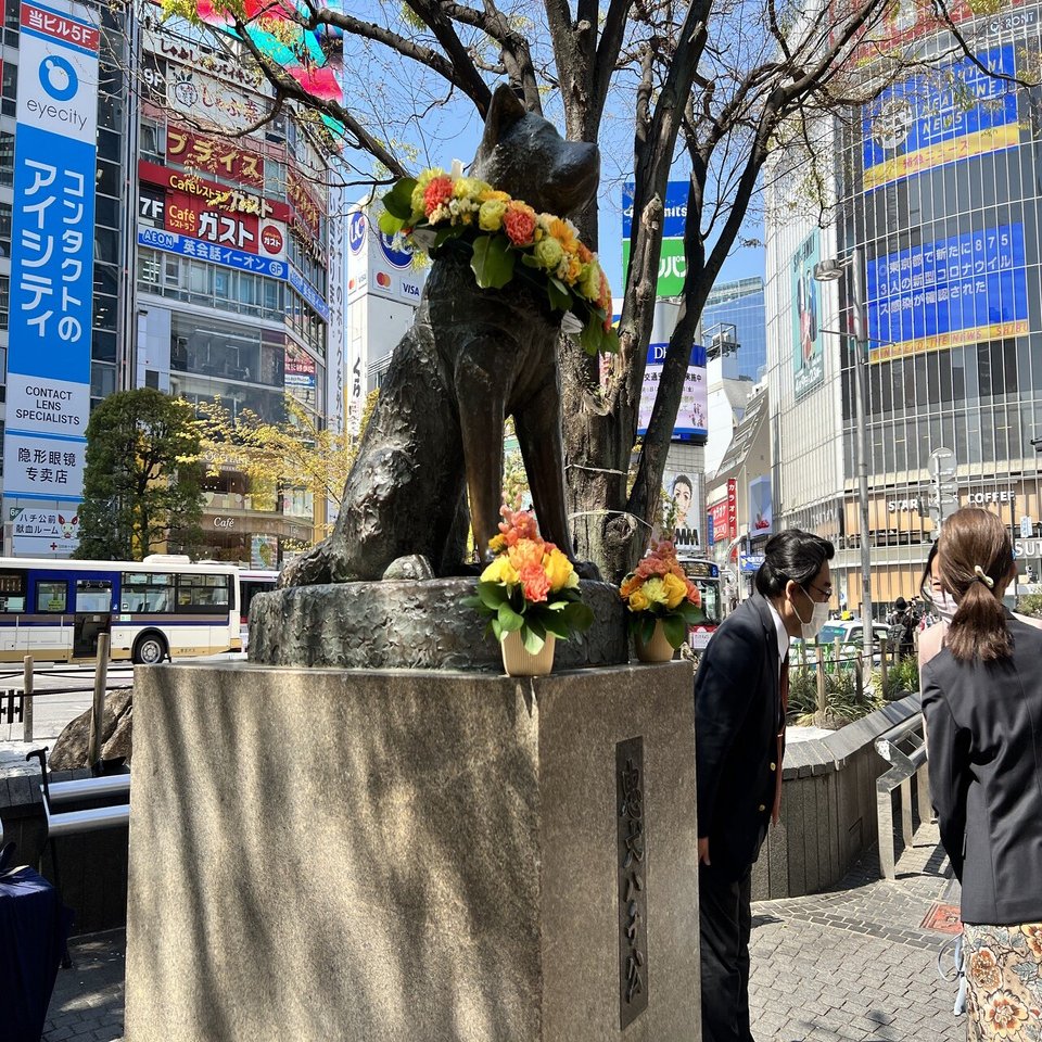 番犬ハチ公 会いたい」と思う気持ちは万国共通 世界で愛される犬・ハチが今に