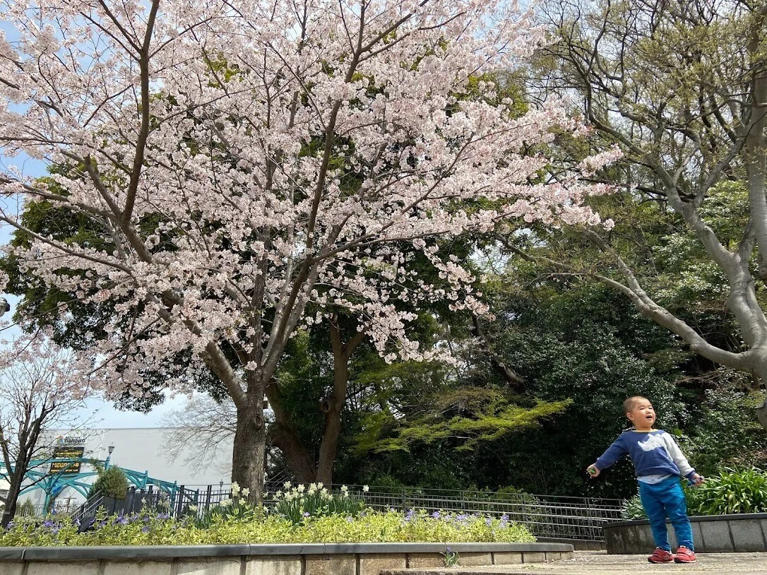 画像2
