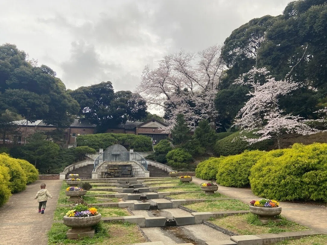 画像6