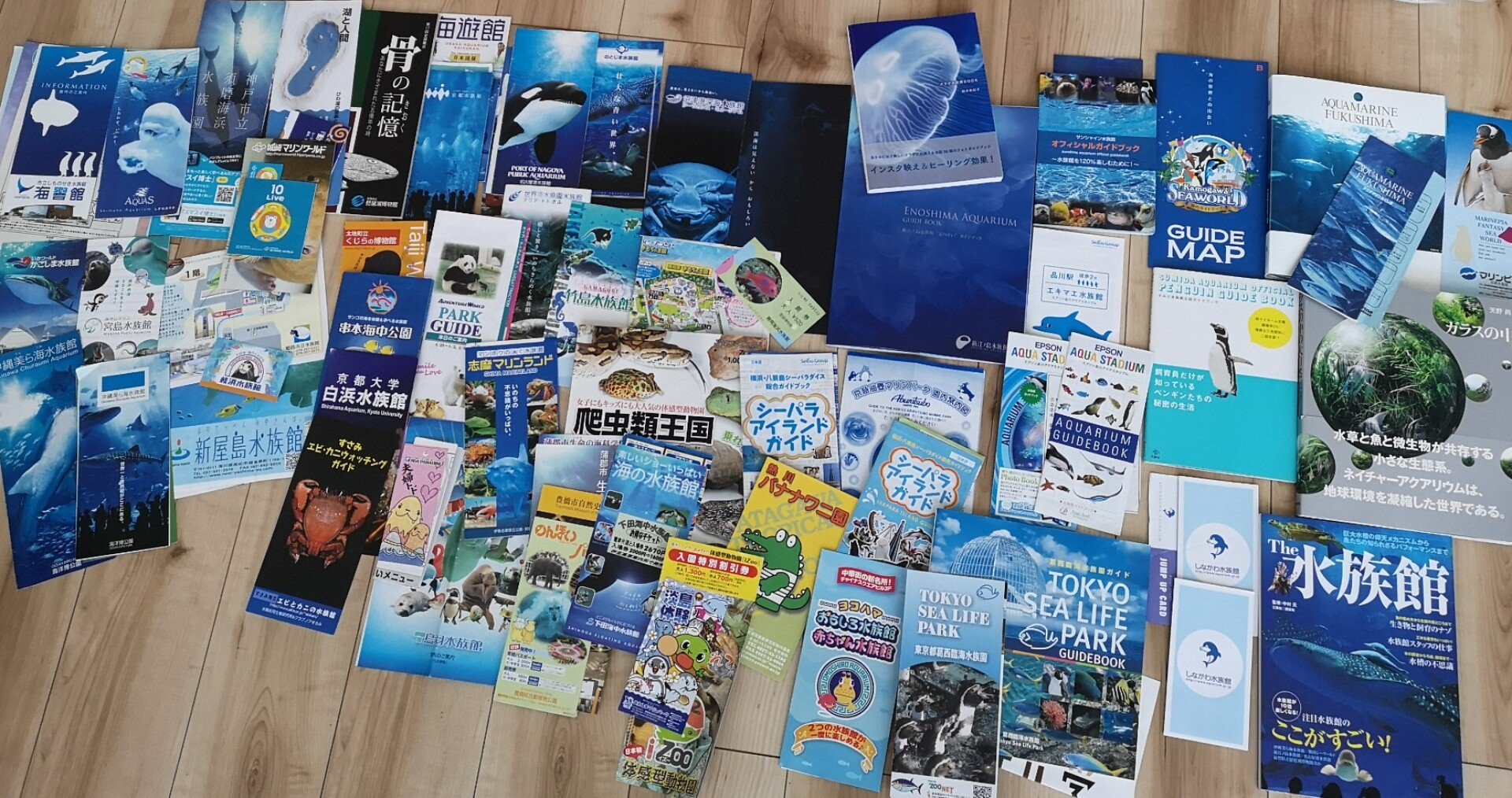 断捨離と愛すべき水族館パンフたち｜Noriko Kato
