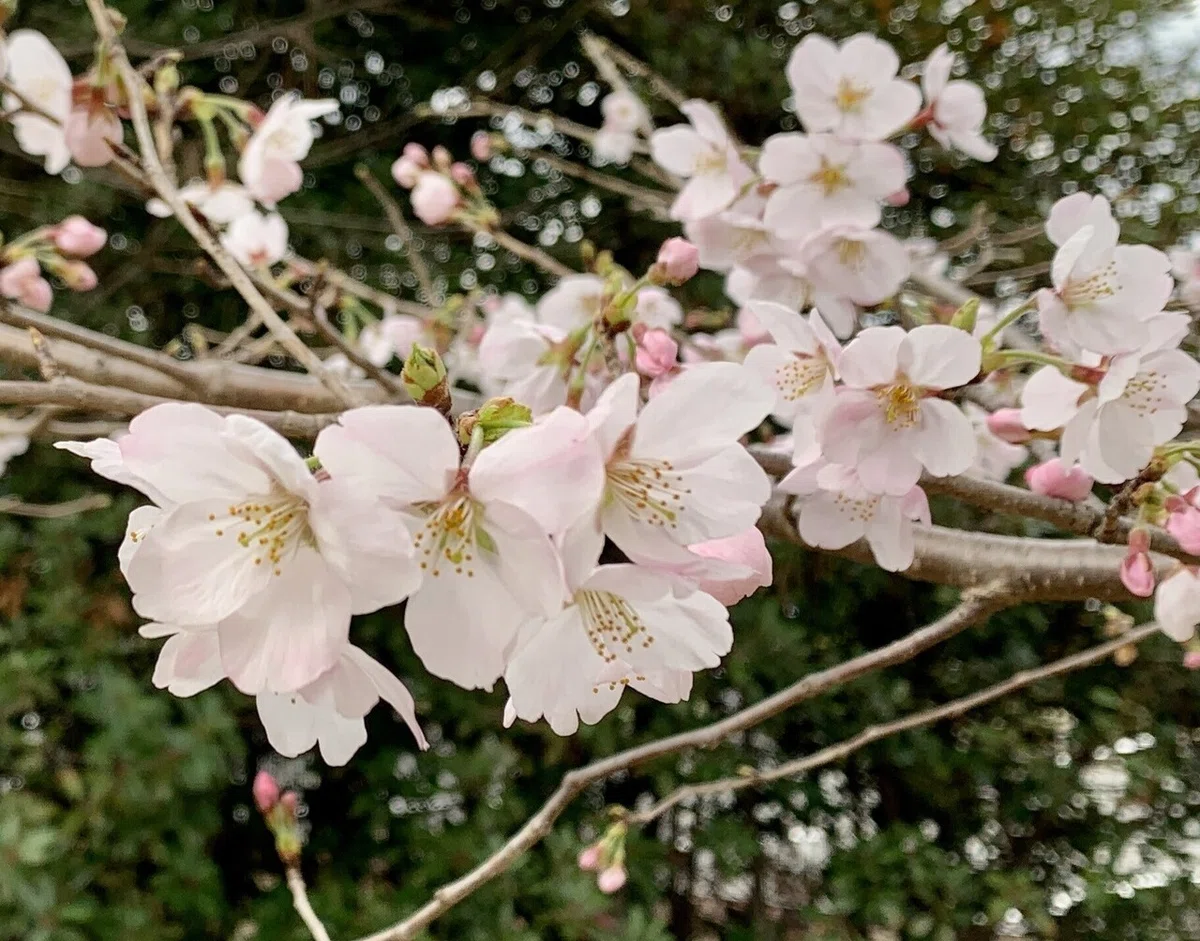 画像15
