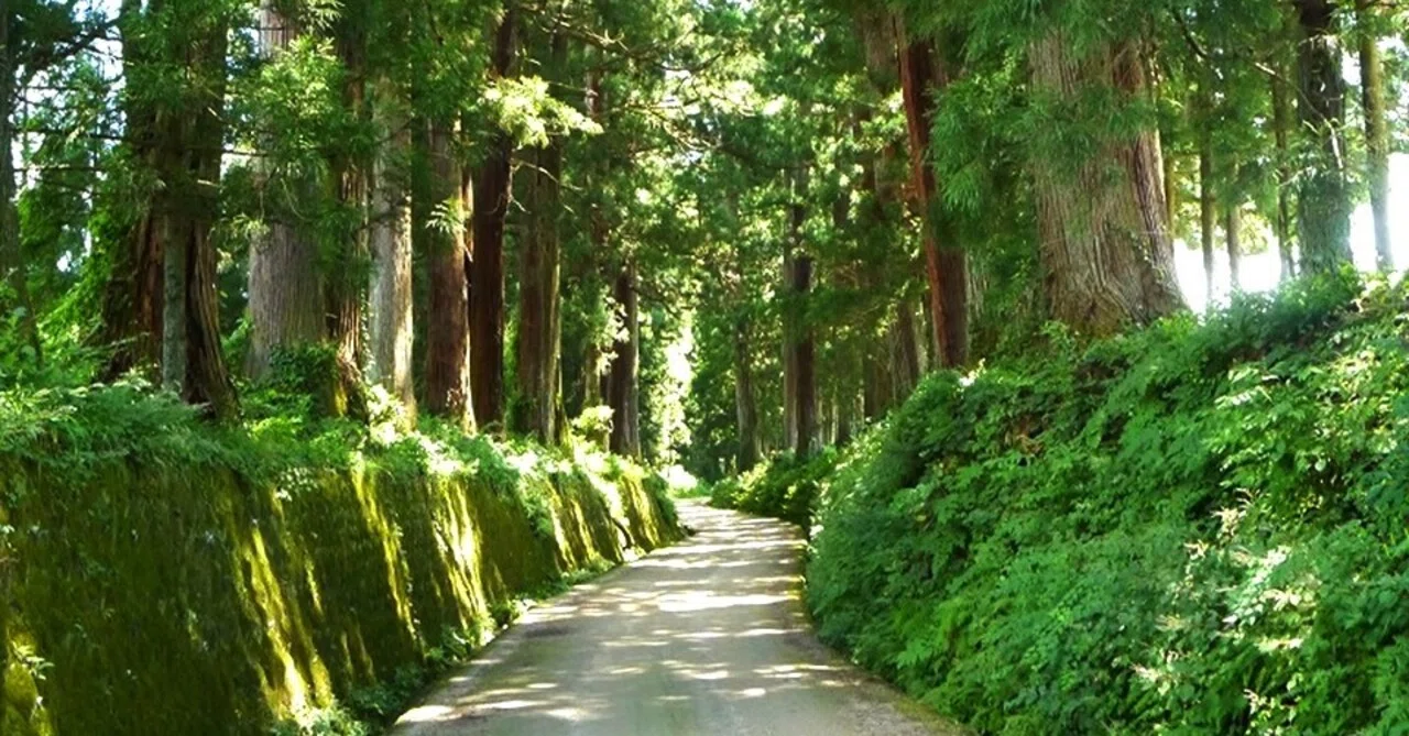 あらたふと青葉若葉の日の光｜芭蕉の風景｜ほんのひととき