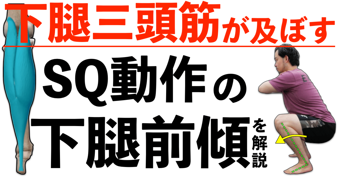 上手くしゃがむコツ 下腿三頭筋の機能低下で起こる スクワット への影響 ノリ トレーニングラボ Note