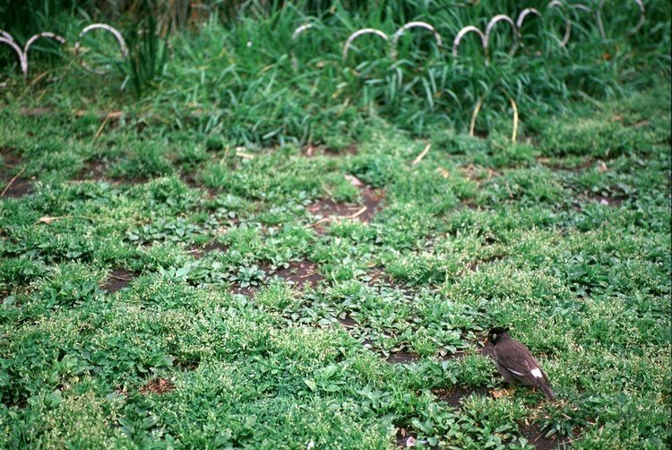 椋鳥 の新着タグ記事一覧 Note つくる つながる とどける