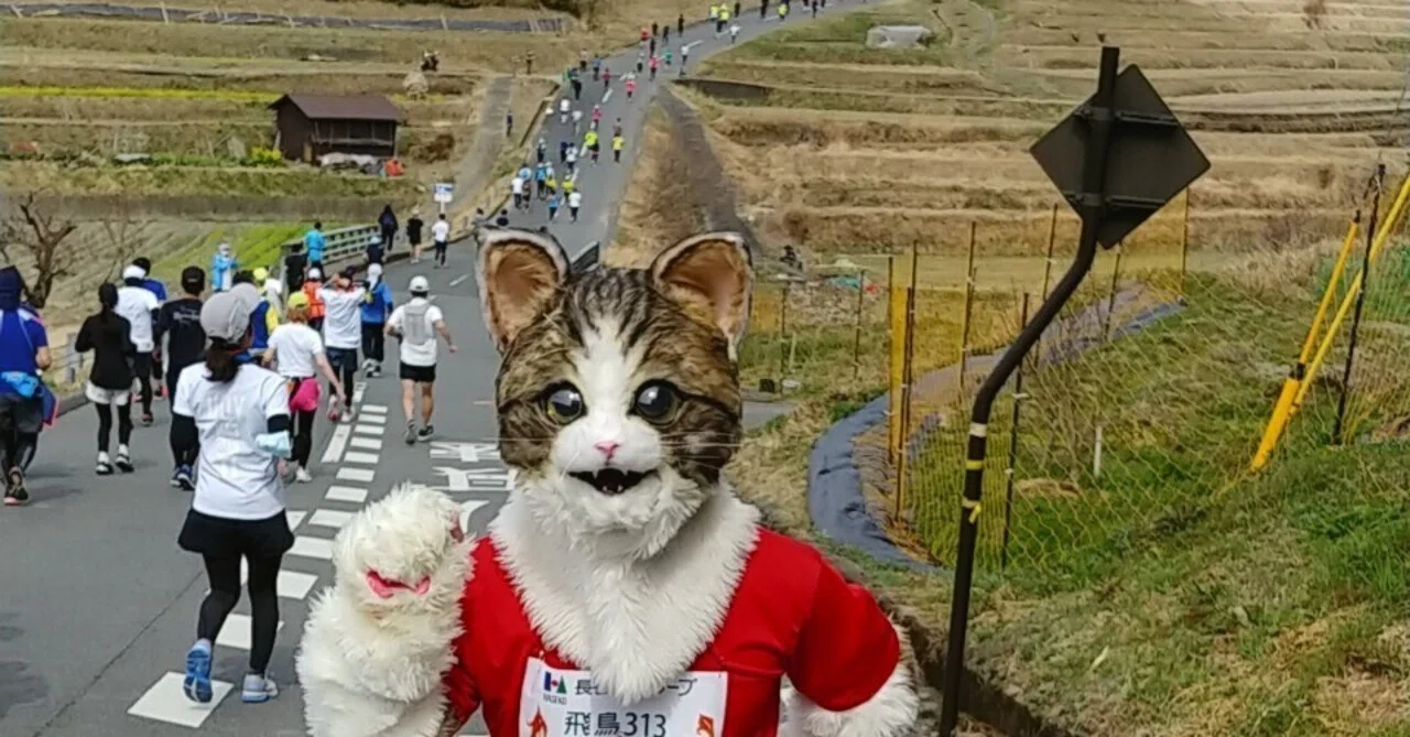 はじめまして ネコの着ぐるみランナーのガットです ネコの着ぐるみでランニングをする人 Note