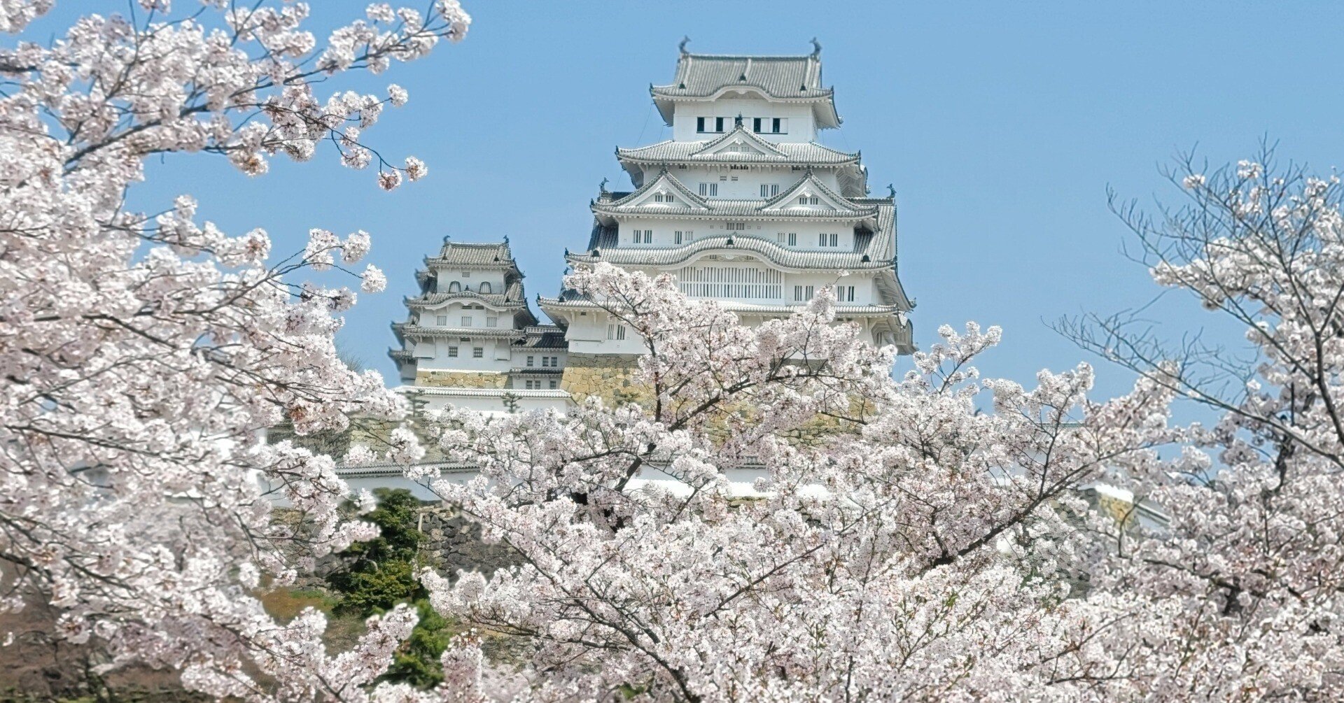 車中泊で 桜 と日本一周 17県目兵庫編 神戸だけじゃない 兵庫県は広い 地球へ途中下車夫婦 根津眞澄 妻 オット Note