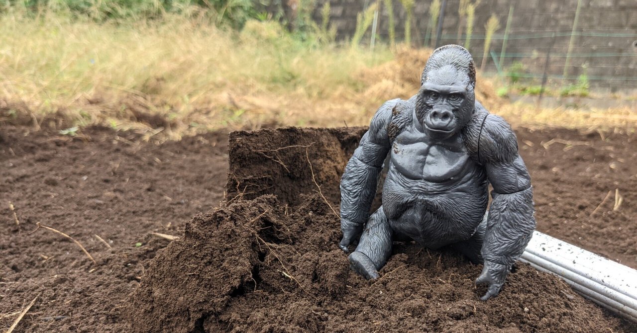 ゴリラ農園 種まき編｜gorillaz555