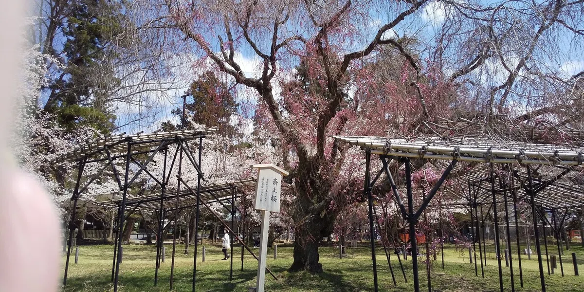 画像4