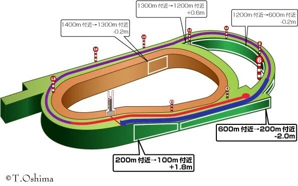 桜花賞】4/10(日) 阪神競馬場 馬場状態＆全レース分析(展開注目データ