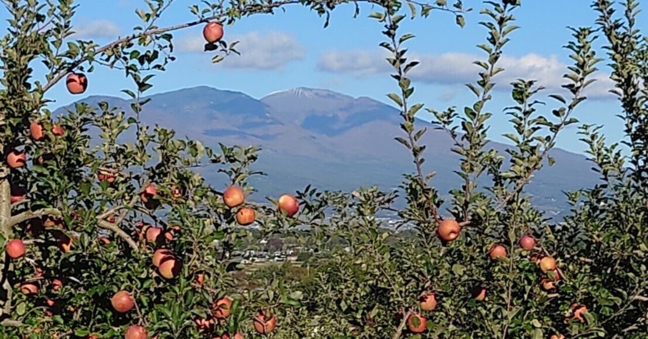 立科町のリンゴに惚れた男～ 移住、研修、収穫までのドキュメント vol